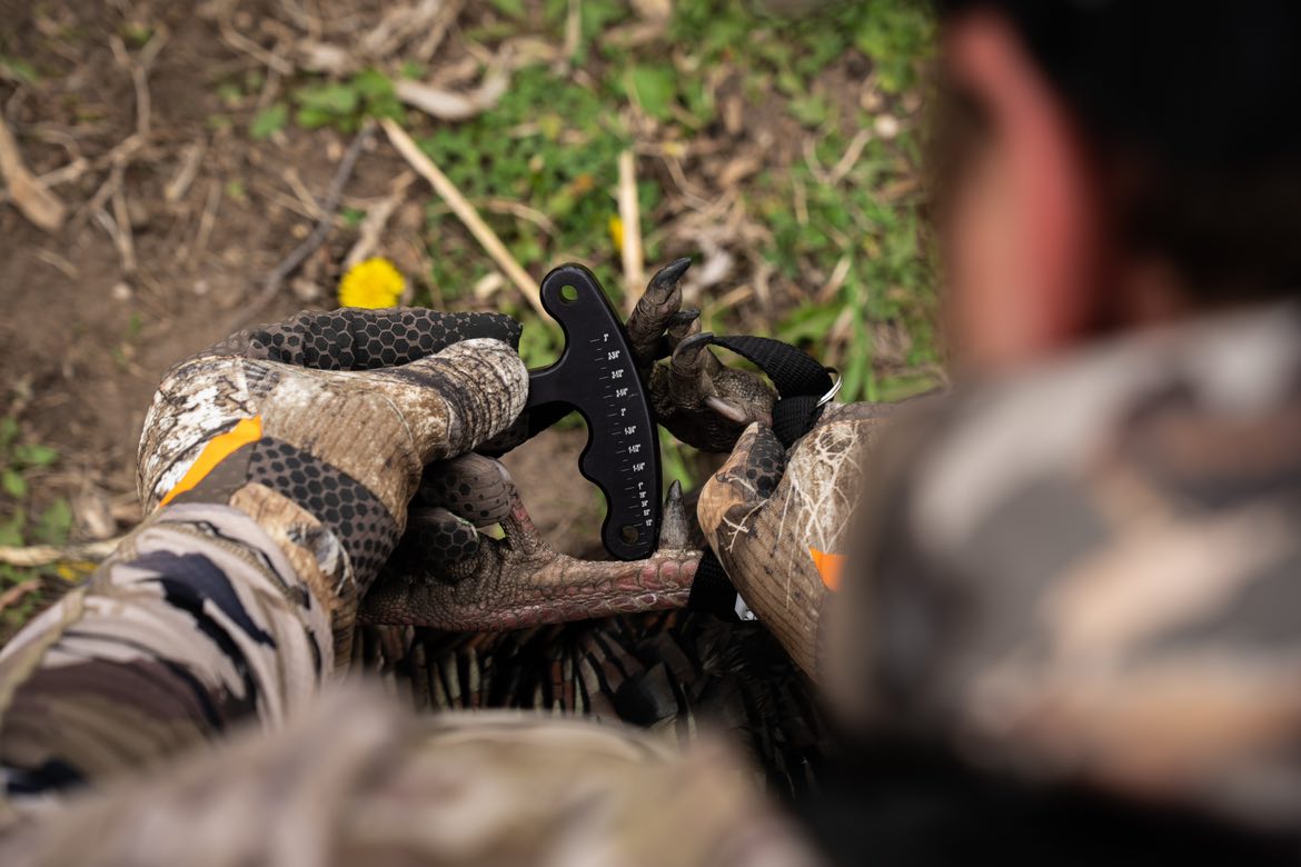Turkey Tools