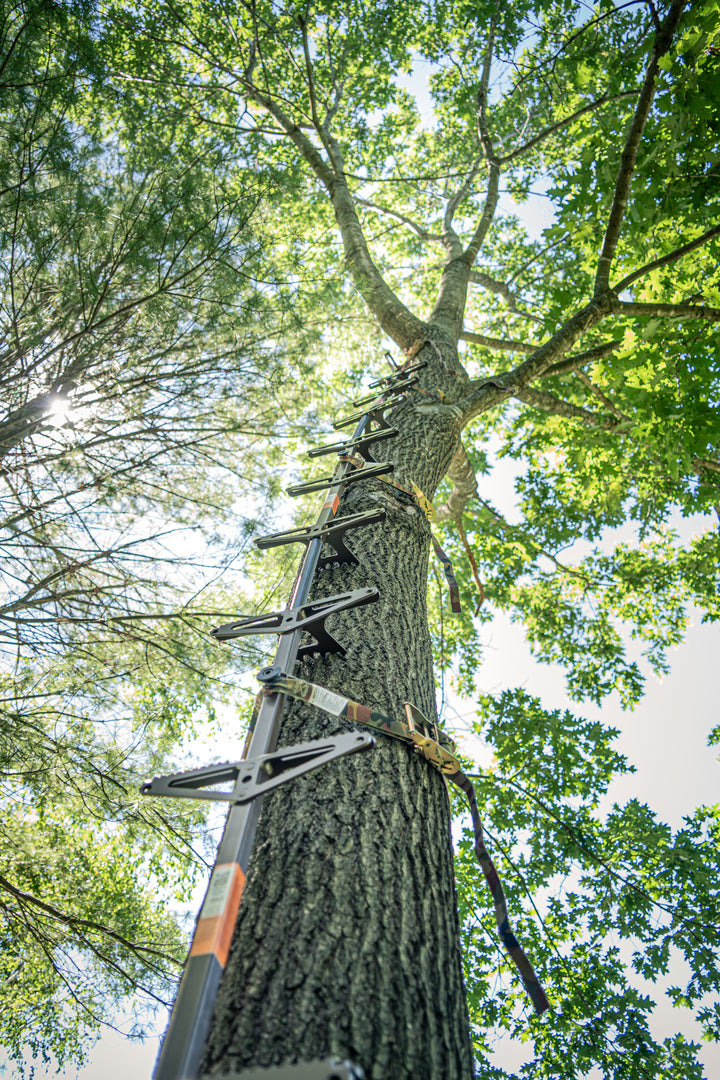 Permanent Climbing Sticks