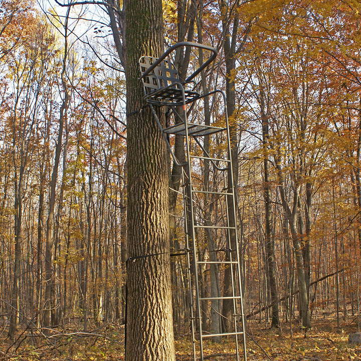 Deluxe Ladderstand by Family Tradition